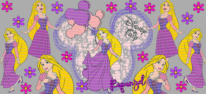 16oz Disney style-D-1248